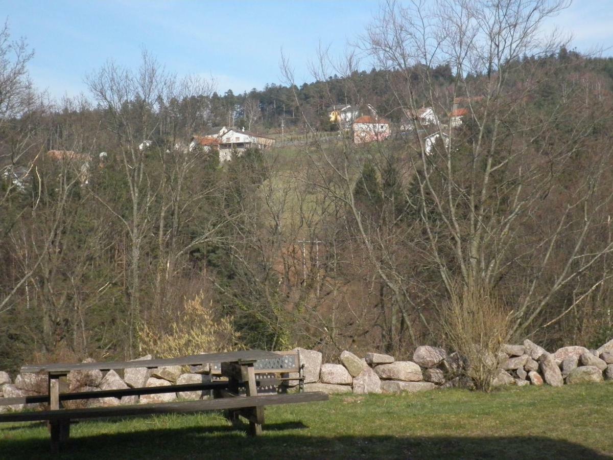 Gite Les Melezes Dabo Exterior photo