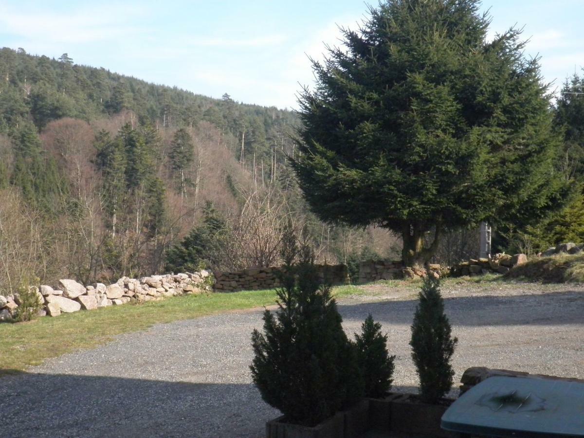 Gite Les Melezes Dabo Exterior photo